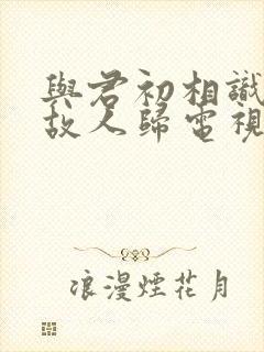 与君初相识恰似故人归电视剧免费观看全集