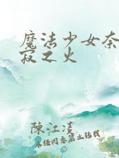 魔法少女奈叶静寂之火