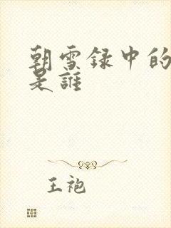 朝雪录中的晋王是谁