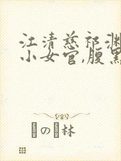 江清慈祁渊替身小女官,腹黑帝王沦陷了在