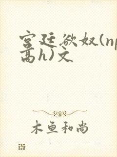 宫廷欲奴(np高h)文