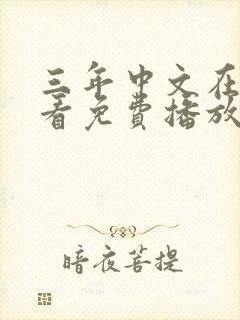 三年中文在线观看免费播放电视剧