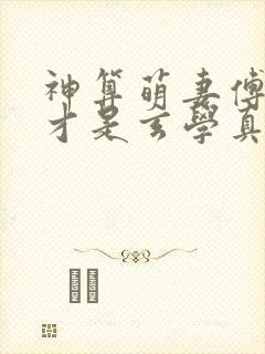 神算萌妻傅太太才是玄学真大佬主角