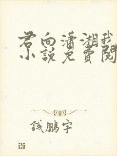 君向潇湘我向秦小说免费阅读