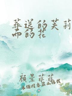 葬送的芙莉莲里面的花