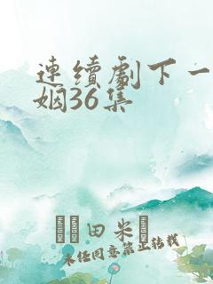 连续剧下一站婚姻36集