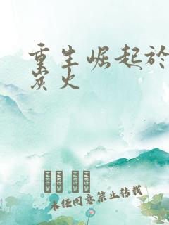 重生崛起于香江炭火