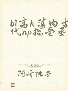 bl高h荡肉古代np总受丞相