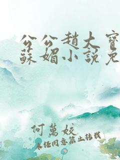 公公赵大宝儿媳苏媚小说免费阅读