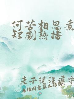 何苦相思煮余年短剧热播