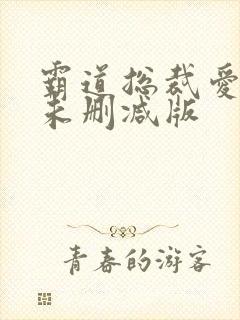 霸道总裁爱上我未删减版