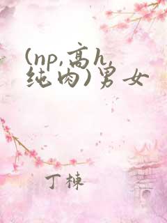 (np,高h,纯肉)男女