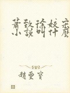 萧致徐姣宋时清小说叫什么