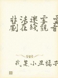 非法迷雾 电视剧在线观看免费