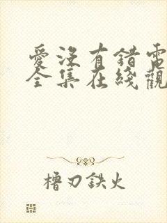 爱没有错电视剧全集在线观看