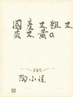 国产又粗又猛又爽又黄a