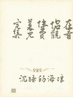 完美伴侣在线全集免费观看电视剧