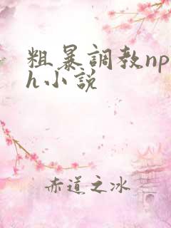 粗暴调教np高h小说