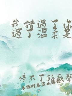 我错过了你也错过了温柔是什么歌