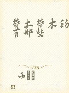 带土带木的名字有哪些