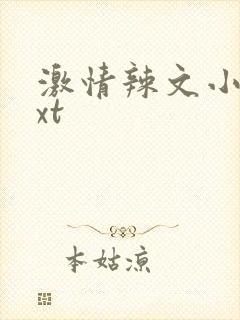 激情辣文小说txt