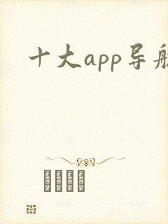十大app导航