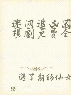 迷网追凶国语电视剧免费全集在线观看