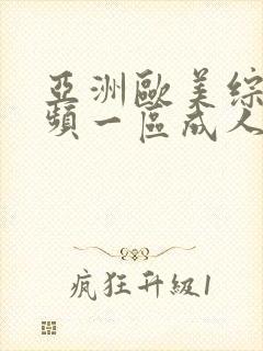 亚洲欧美综合视频一区成人