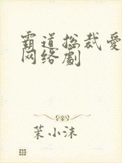 霸道总裁爱上我网络剧