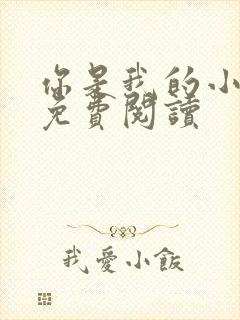 你是我的小确幸免费阅读