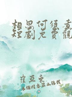 相思何须煮余年短剧免费观看全集