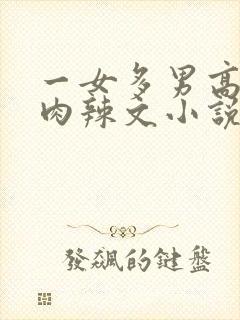 一女多男高h多肉辣文小说