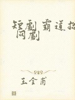 短剧 霸道总裁 网剧