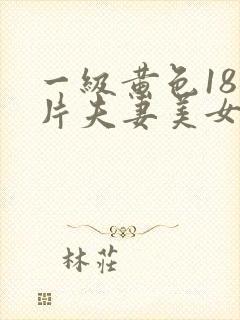 一级黄色18岁片夫妻美女