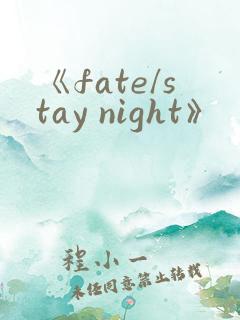 《fate/stay night》