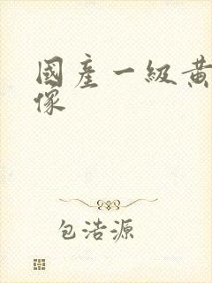 国产一级黄色录像