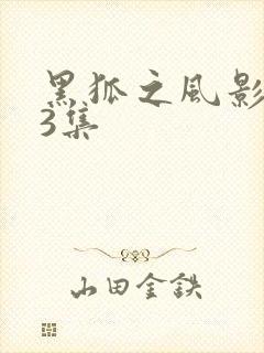 黑狐之风影第23集