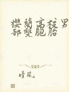 樱兰高校男公关部双胞胎