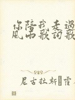 你陪我走过多少风雨歌词歌谱