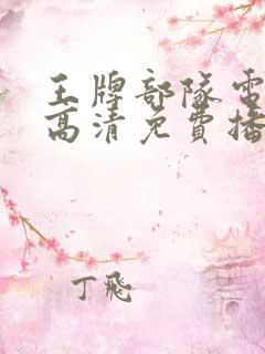 王牌部队电视剧高清免费播放