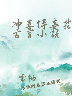 冲喜侍妾花想容古言小说