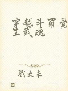 穿越斗罗觉醒双生武魂