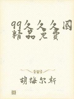 99久久久国产精品免费