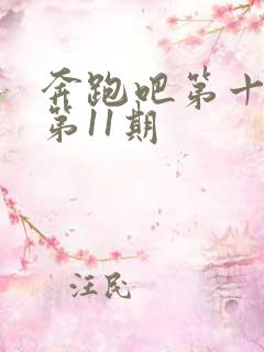 奔跑吧第十一季第11期