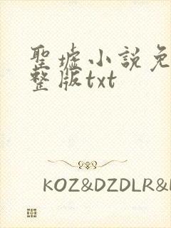 圣墟小说免费完整版txt