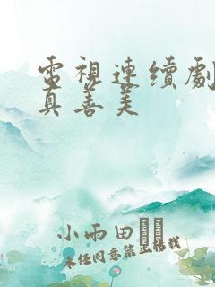 电视连续剧爱情真善美