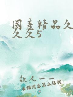 国产精品久久久久久5