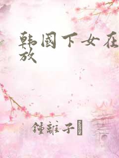 韩国下女在线播放