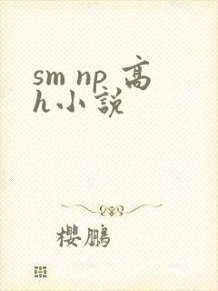 sm np 高h小说