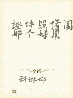 证件照修图软件哪个好用